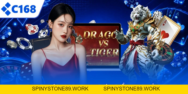 Dragon Tiger Là Gì - Luật Chơi Đơn Giản, Rinh Quà Ngay