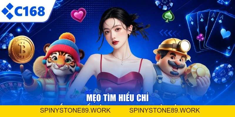 Rtp Là Gì? - Hiểu Rõ Tỷ Lệ Hoàn Trả, Săn Thưởng Cực Dễ
