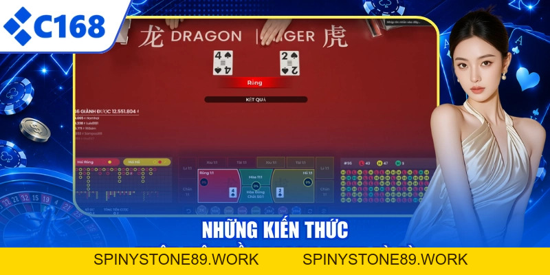 Dragon Tiger Là Gì - Luật Chơi Đơn Giản, Rinh Quà Ngay