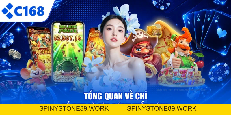 Rtp Là Gì? - Hiểu Rõ Tỷ Lệ Hoàn Trả, Săn Thưởng Cực Dễ